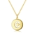 Picture of Fashion Small Gold Plated Pendant Necklace