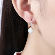 Picture of Casual Cubic Zirconia Small Hoop Earrings with Fast Delivery