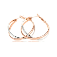 Picture of Romantic  African Style Rose Gold Plated Hook