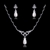 Picture of Beautiful Cubic Zirconia Platinum Plated Necklace and Earring Set