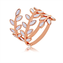 Show details for Impressive White Gold Plated Fashion Ring from Certified Factory