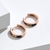 Picture of Stylish Small 925 Sterling Silver Small Hoop Earrings