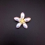 Show details for Buy Platinum Plated White Brooche Online Shopping