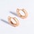 Picture of Copper or Brass Gold Plated Small Hoop Earrings For Your Occasions