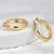 Picture of Delicate Small Small Hoop Earrings Online Only