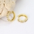 Picture of Bling Small Gold Plated Huggie Earrings